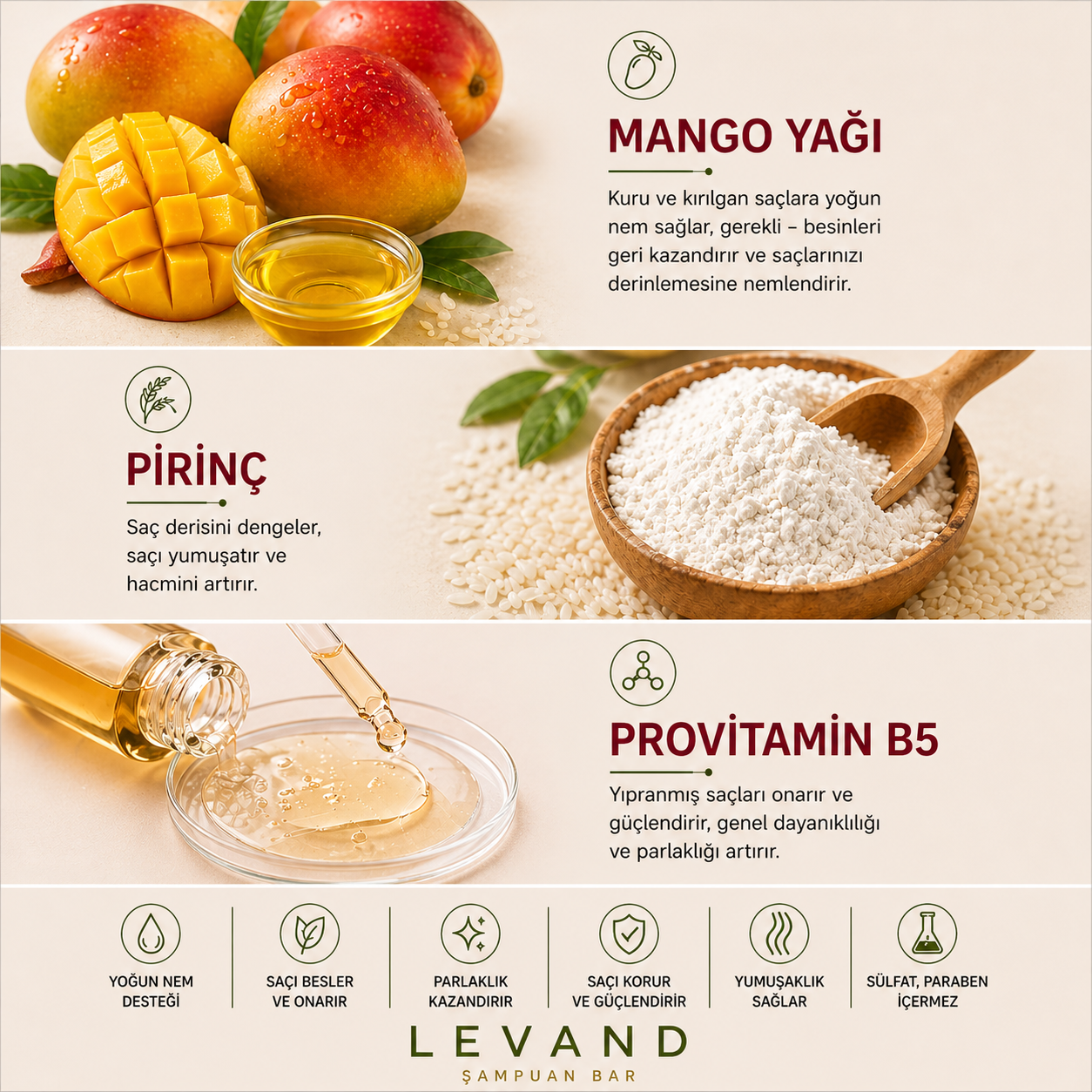 Mango & Pirinç Katı Şampuan   ( Yıpranmış Saçlar İçin Onarıcı Bakım )