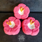 flower Pedikür Nem Bombası - levand shope turkiye